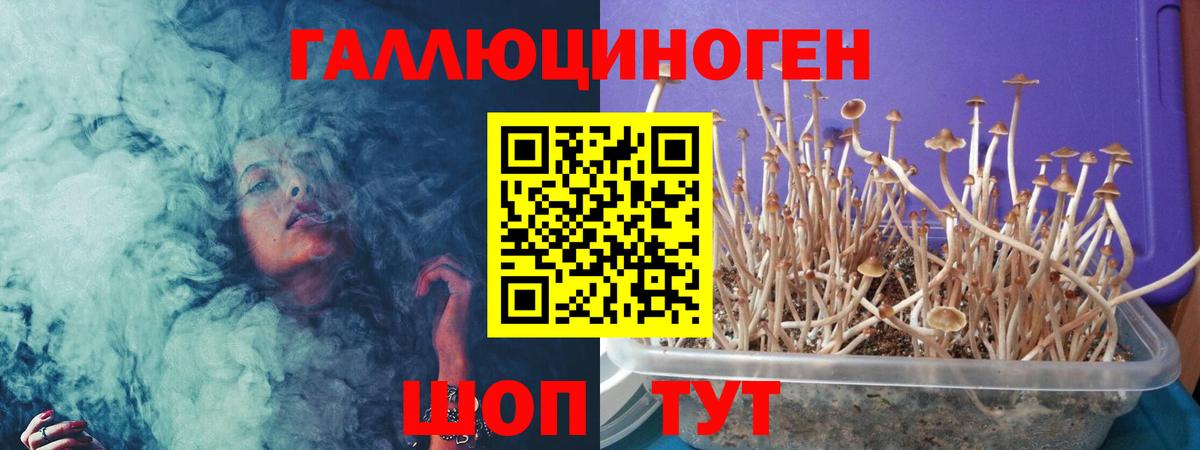 Галлюциногенные грибы MAGIC MUSHROOMS Котлас