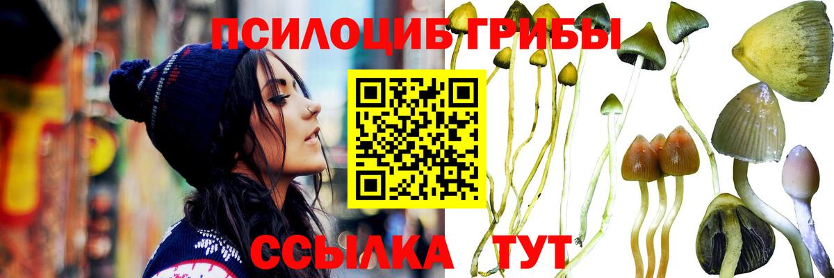 Котлас  Галлюциногенные грибы ЛСД  Вход с VPN 